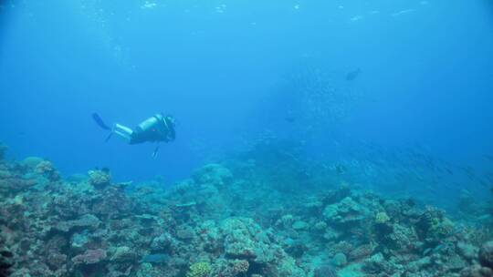 潜水员在热带海洋潜水