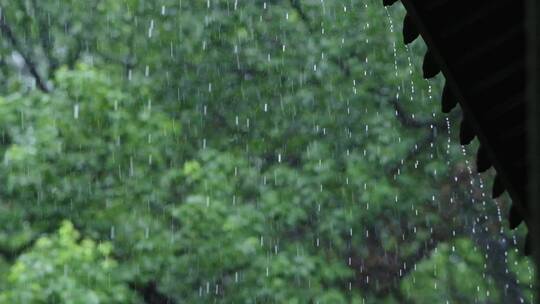 江南雨季中式园林建筑绿植雨滴空镜