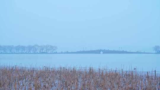 雾西湖风景