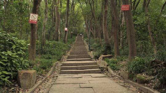 杭州西湖宝石山上的长廊，竹林