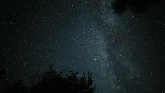 银河系的时间流逝和星空在树冠上移动