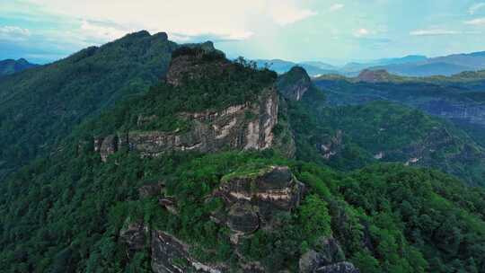 福建武夷山国家公园岩茶核心产区0558