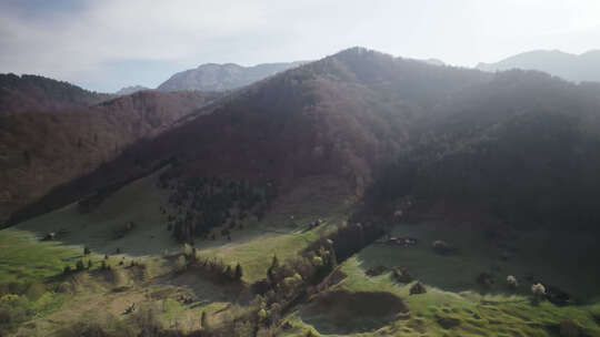 罗马尼亚Valea Doftanei绿色
