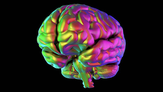 医学 大脑 脑科学 三维 脑ct1 模型