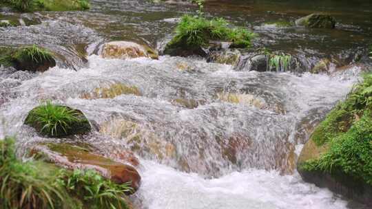 自然溪流合集-小河溪水清澈溪流