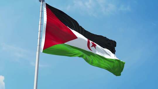 西撒哈拉现实主义旗帜