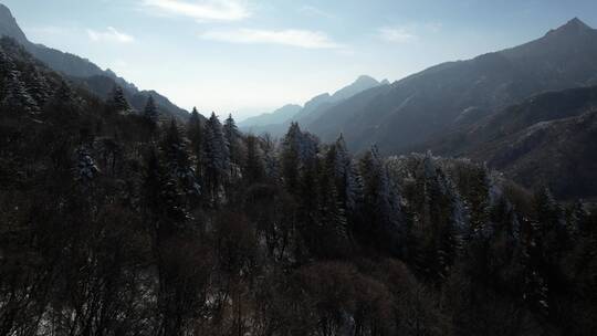 秦岭雪景