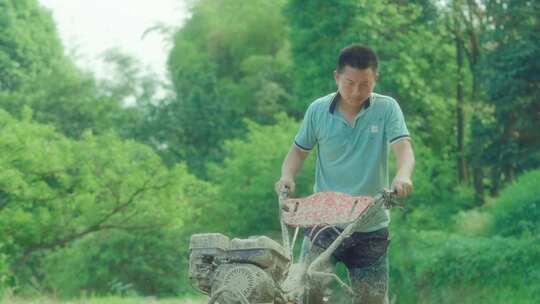 水田农业耕种水稻田耕地