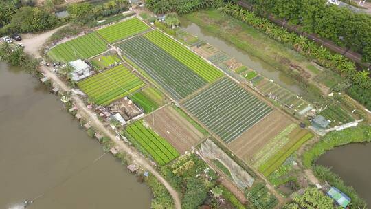 城郊农业基地航拍