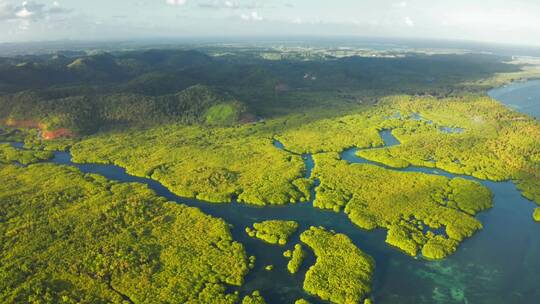 亚马逊河流高空航拍