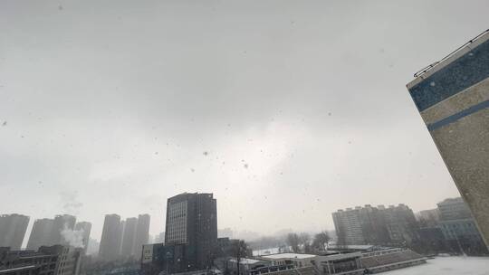 【镜头合集】冬季里的城市灰色下雪