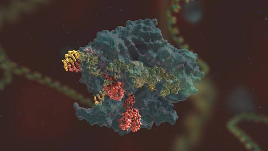 生物科学 基因编辑 DNA 基因工程 医学动画