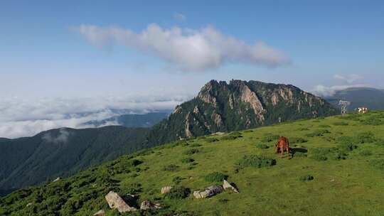 山西芦芽山风景航拍素材