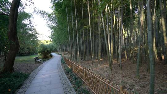 杭州西湖景区植物园