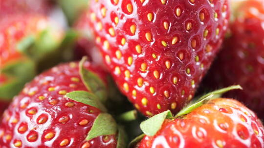 草莓 水果 特写 高清 食物