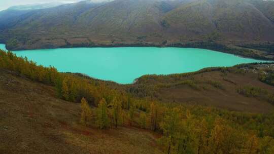 航拍新疆喀纳斯秋天森林河流湖泊自然风景