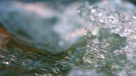 森林溪水流水花清澈山泉青苔藓小溪泉水视频素材模板下载