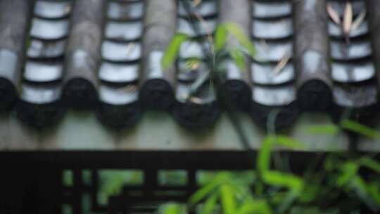 阴雨天意境中式古建筑古风屋檐屋顶竹子特写