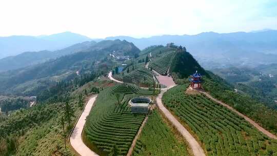 茶山蓝天白云 茶园 茶厂 茶场 茶叶宣传片