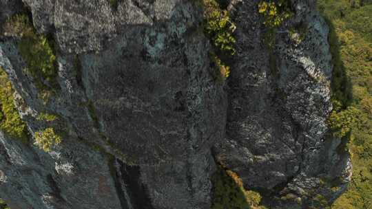 悬崖，拉罗汤加，岛屿，植被