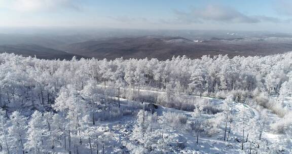 零下40度的低温航拍大兴安岭冰雪雾凇