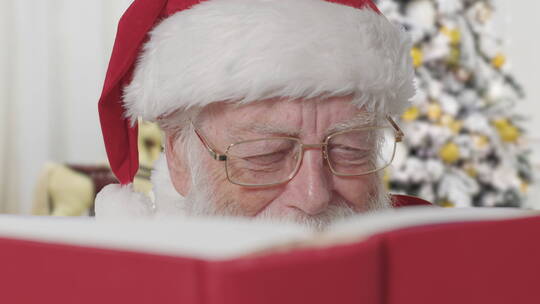 读书的圣诞老人