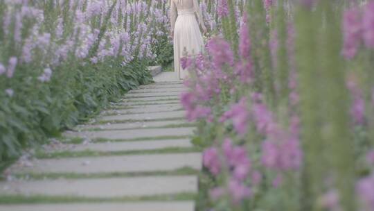 唯美美女在花海中行走触摸鲜花盛开人比花娇