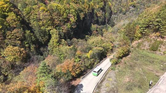 4K航拍重庆秋天黎坪森林公园风景区