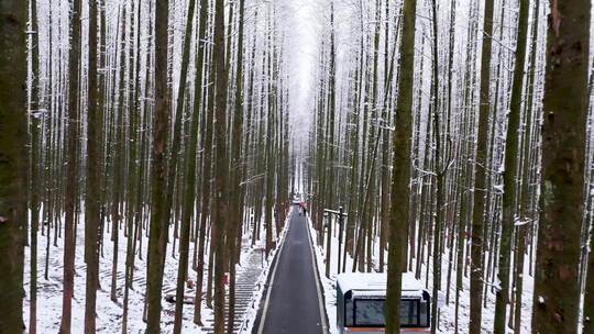 航拍山王坪冬天雪景