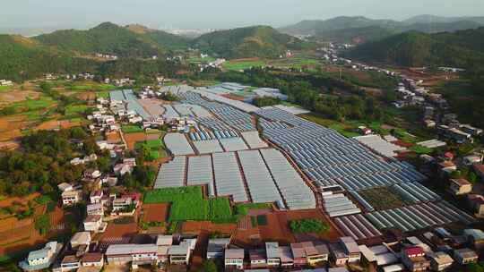 温室大棚蔬菜水果种植园