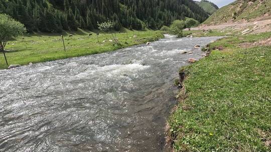 新疆山涧溪流视频素材