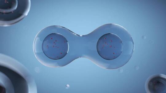 生物细胞3D渲染