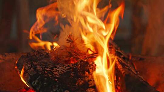 燃烧的火焰火堆木材木炭视频素材模板下载