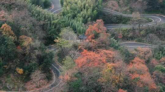 杭州富阳墅溪村林峰山森林秋色航拍