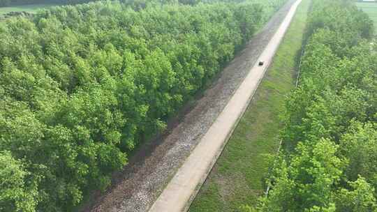 乡村公路航拍汽车行驶在农村小路丛林间跟拍