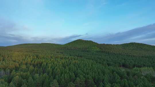 大兴安岭自然风光森林草原过渡带风景