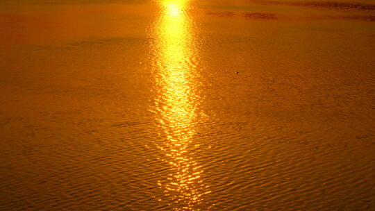 金色阳光 湖面 河面 夕阳 落日余晖