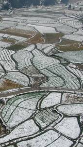 航拍农业种植农田冬天雪景竖屏