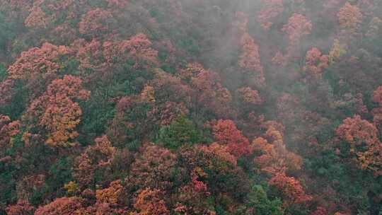 五彩斑斓的高山