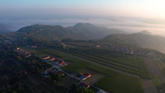 黄土高原地貌植被晨雾