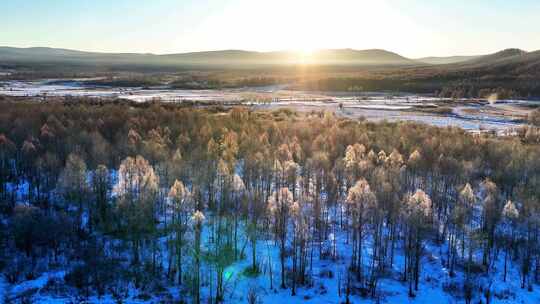 雪原阳光树林雾凇