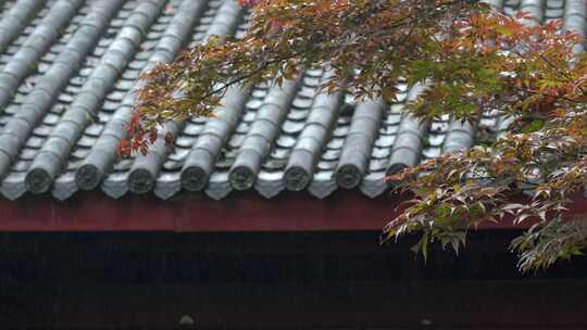 重庆雨季下雨屋檐实拍