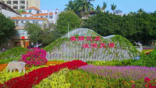 海南三亚城市公园春节阳光花海白鹭公园