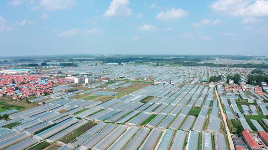 新农村蔬菜基地