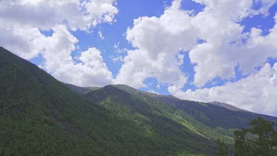 新疆北疆阿勒泰喀纳斯夏天蓝天白云空镜风景