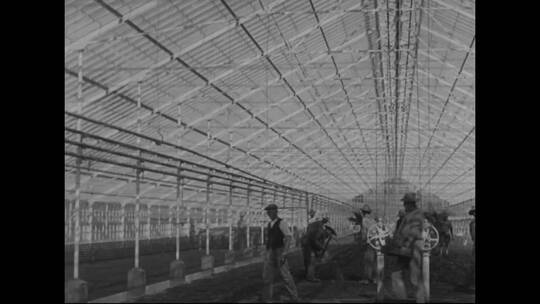 1918年美国的农业和农场劳动视频素材模板下载