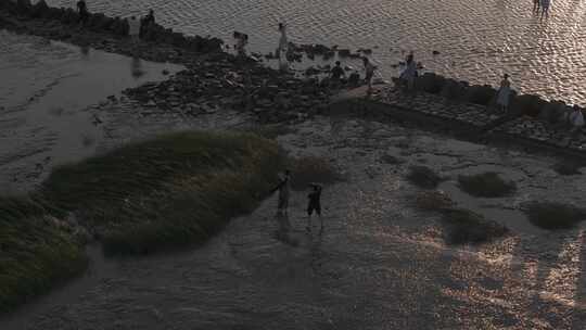 海面 滩涂 日出 朝霞 人群 海边 沙滩 航拍