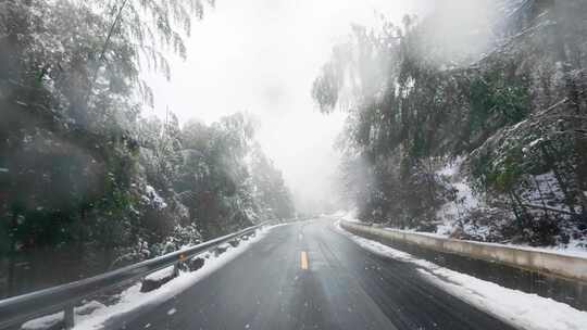 升格特写：冬季雪花飞舞的公路林间行车记录