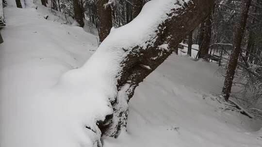 贺兰山金顶雪景视频 (32)