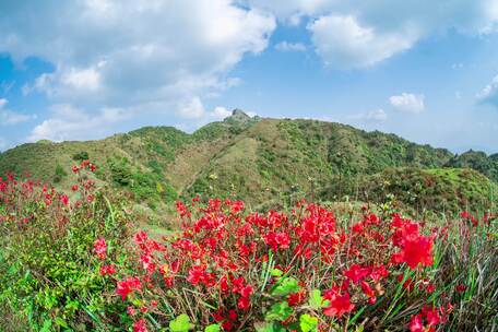 大山延时日出银河森林等